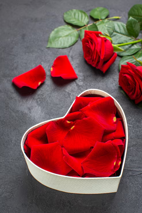 Rosas e pétalas vermelhas — Ritual do Amor